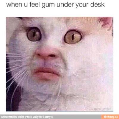 Fml