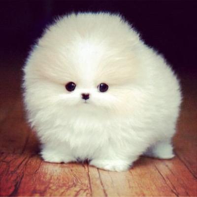 BenoitHailey's profile picture. 