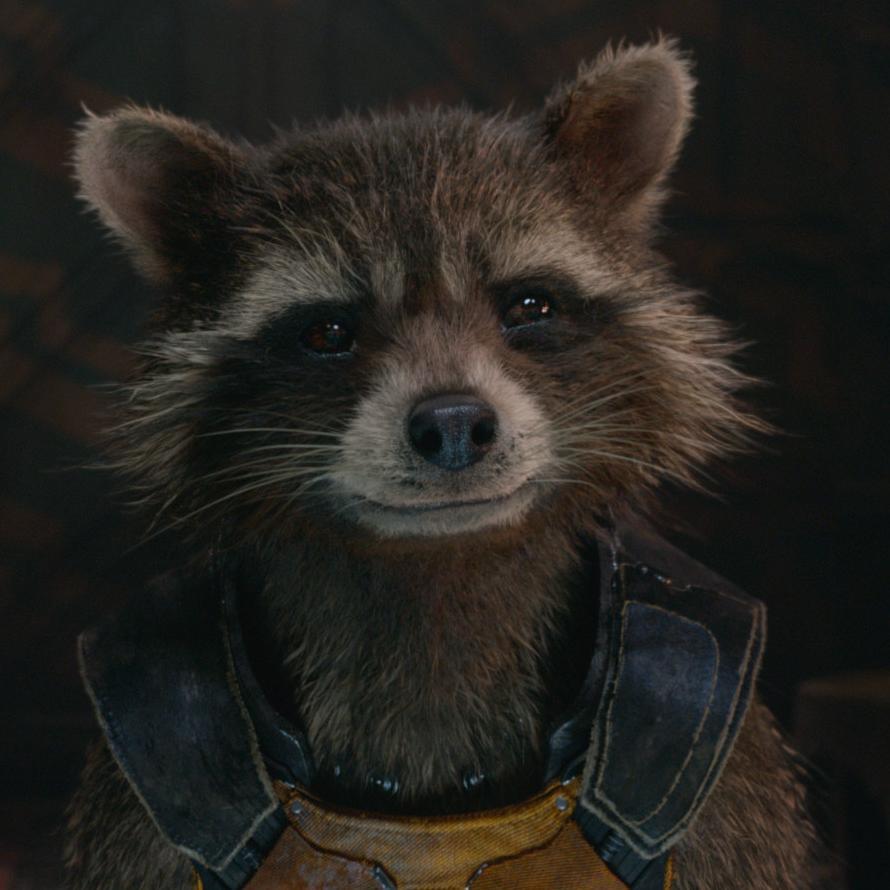 ironman191's profile picture. 