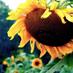 Somerset Ridge (@somersetridge) Twitter profile photo Somerset Ridge (@somersetridge) Twitter profile photo