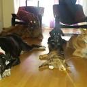 Tamara Aragon Cid - @AragonCid - Twitter