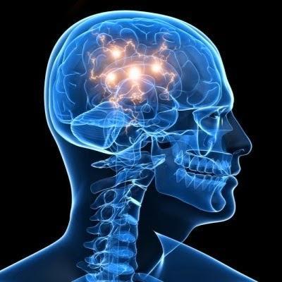 Nootropics Info- providing you with the information you need to achieve the results you want with nootropics.