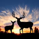 Sam Joy - @Sam_Joy14 - Twitter