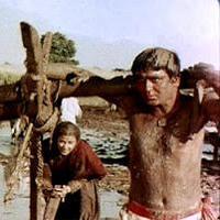 कोल्हू का बैल (@kolhukabail) 's Twitter Profile Photo कोल्हू का बैल (@kolhukabail) 's Twitter Profile Photo
