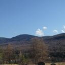 Franklin Park Tenant - @FPDTA_news - Twitter