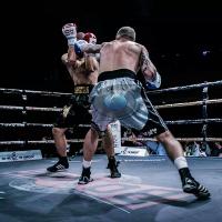 Perry scopes (@pelscopes) 's Twitter Profile