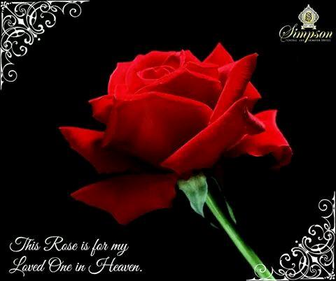 connie505050's profile picture. 