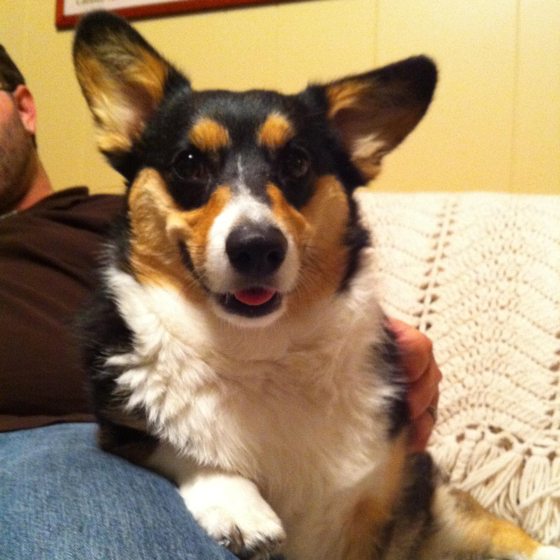 FraxTech's profile picture. I want all the tech toys!!!