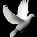 Angela Wilder-jackso - @Angewil60 - Twitter