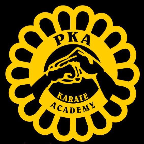 PKA Karate Academy is a full-service martial arts academy in Pittsburgh, Pennsylvania.

PKA Academy: channeling mind, body, and spirit.