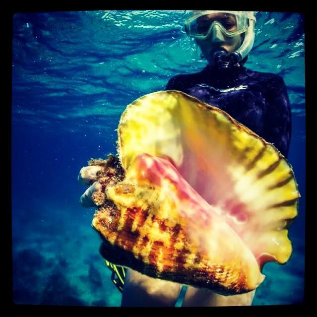 tiffanygillett's profile picture. 