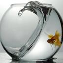 Ryan Logsdon - @LoggerRhythm - Twitter