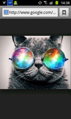 Single, Liberal, Democratic, Pagan, Indigo, Gemini, Spiritual, Meditation, Magic, ENFP, Wicca, outdoors, bike riding, ascension, intuitive, 2012 , Progressive