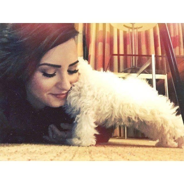 † I'm 22. My role model is @ddlovato and the reason why i stay strong †  Best boyband ever @thewanted #nicely Followed by @TomTheWanted on 13/12/12