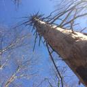 Aaron Burt - @CampNJ - Twitter