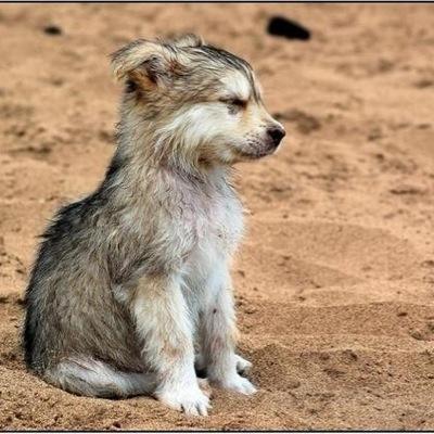 M_de_W0lf's profile picture. 