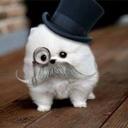 Ana - @ana_ng78 - Twitter