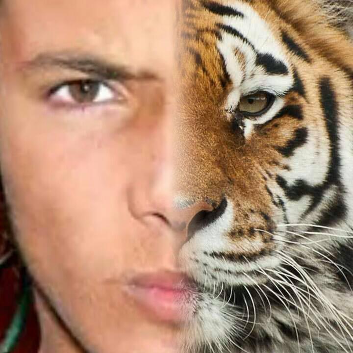 yacineacaro31's profile picture. VOUS SUIT
Avouuue tu veut liree ma Bio avant de m'Follow ?! C'st bon tu la luu ? Bon bah Fallow moi mtn et j'te fallow Back si tu clique Grv.