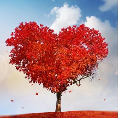 Follow for follow. booklover forever.