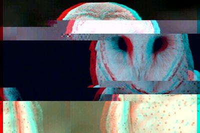 im_nally's profile picture. why you stalking