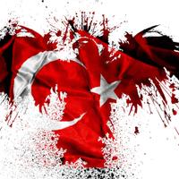 Nizam Key (@nizamkey) Twitter profile photo