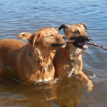 Best Friends who enjoy each moment together! Follow them on their journey!