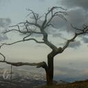 A. Richens - @aj_rich - Twitter