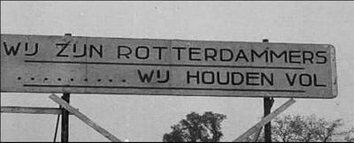 stefce1973's profile picture. I'm Feyenoord Till I Die