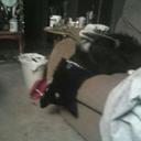 russell widener - @RusRwidener47 - Twitter