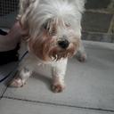 Melissa Thacker - @b748539591eb419 - Twitter