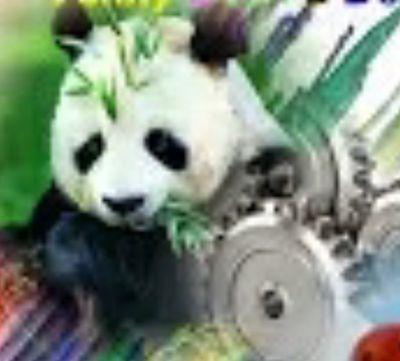 theera1920's profile picture. 