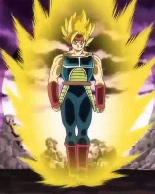 Im Bardock my sons are Kakarot and Raditz if u wanna fight i wont hold back im the legendary super saiyan im looking for Kakarot my wife is gine