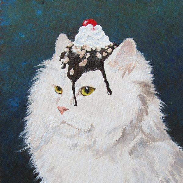 A clowder of cats working at Young&Shand.