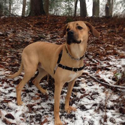 bmiller188's profile picture. 