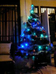 Christmas is coming!!!☃