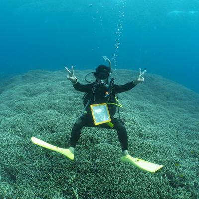 石垣島ダイビングショップ　Ｃyanの海