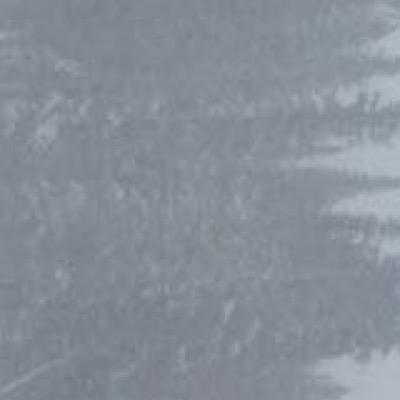 scratch__that's profile picture. https://t.co/J36XLETDJN