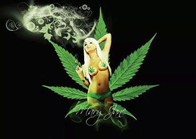 cmasias45's profile picture. 