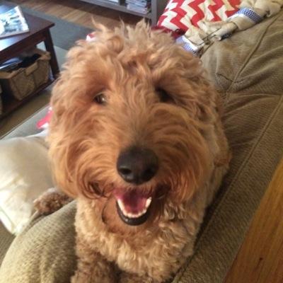 thags624's profile picture. Echo base, this is rogue two