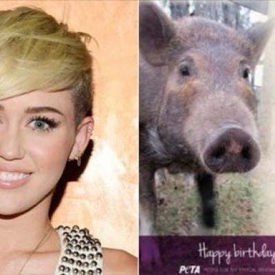 RAltmark's profile picture. 