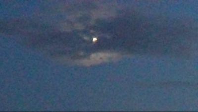 charmzbristol's profile picture. 