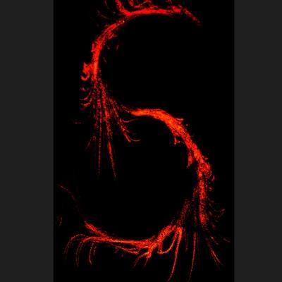 hey everyone SlaTe clan is a all gunner clan follow us for updates and new member shoutouts im SlaTe_ReCks i am the leader of SlaTe aswell as SlaTe_JEM