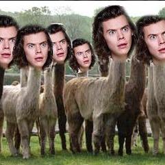 thepayneofjano's profile picture. why am i here