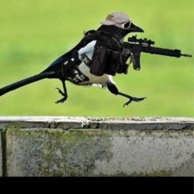 Recreational Weekend Warrior