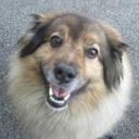 Tami Horn - @horn_tami - Twitter