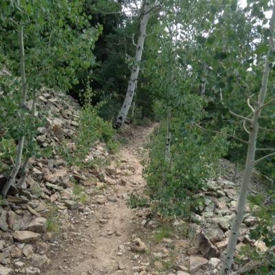 AndyCarper1's profile picture. 