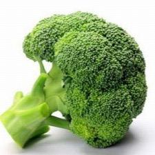 sftennis8991's profile picture. 