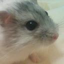 RURIA (@0115226) Twitter