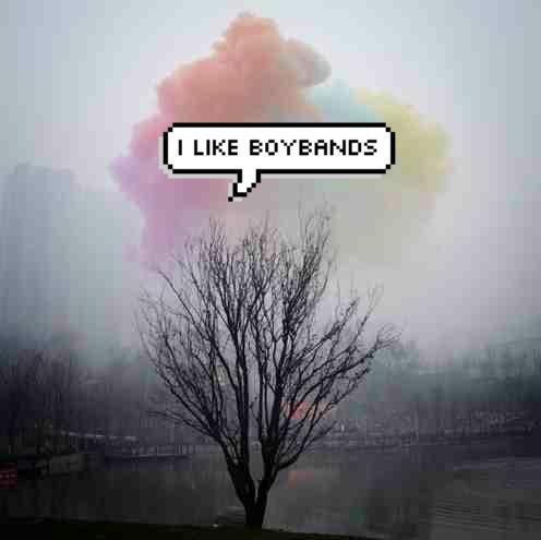 Just some girl that is dedicated to boybands and celebrities