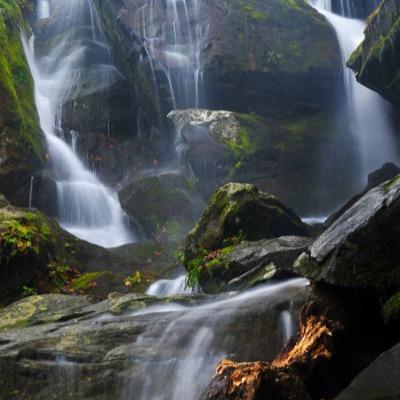 Living and loving life in the foothills of the Smokey Mountains